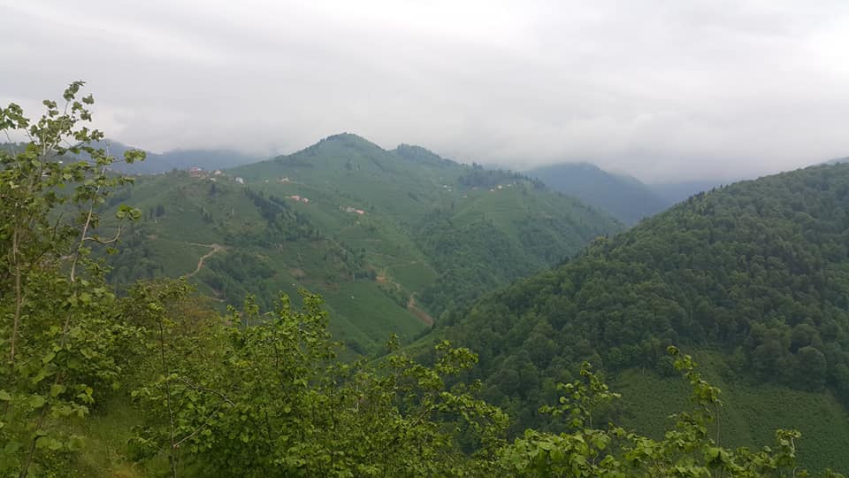 Gölköy Damarlı Köyü Resimleri 2