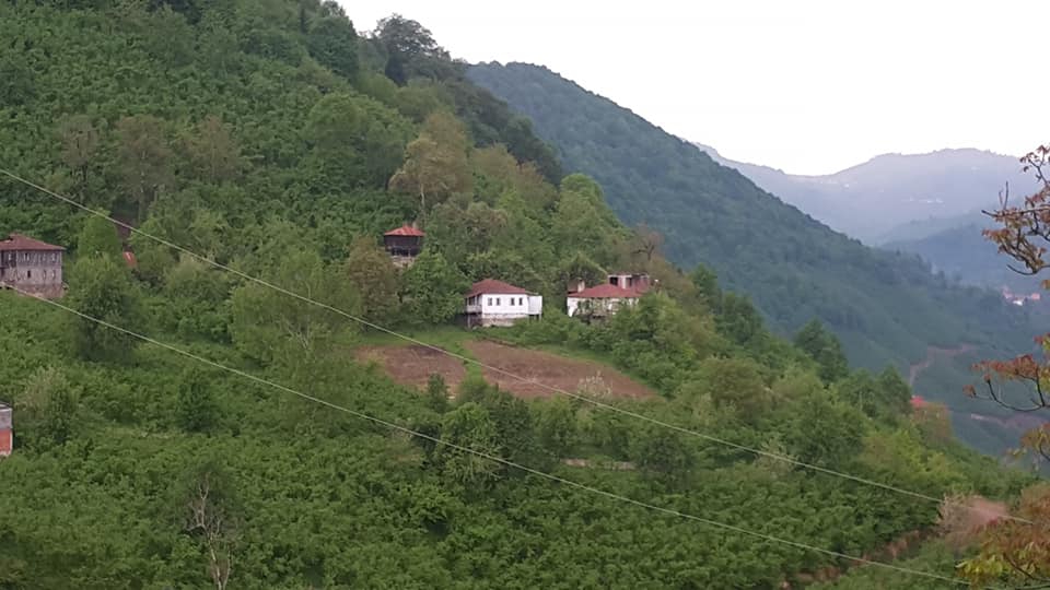 Gölköy Damarlı Köyü Resimleri 5