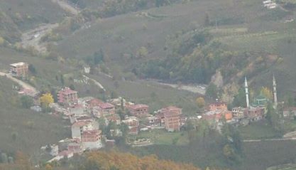 Gölköy Direkli Köyü Resimleri 1