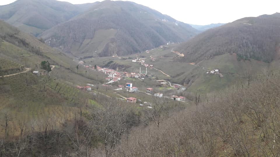 Gölköy Direkli Köyü Resimleri 10