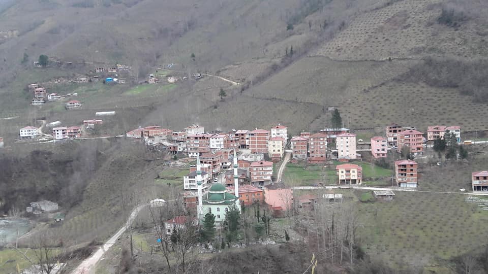 Gölköy Direkli Köyü Resimleri 11