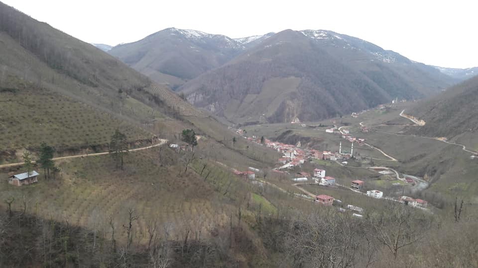 Gölköy Direkli Köyü Resimleri 13