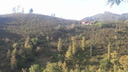 Gölköy Direkli Köyü Resimleri 3