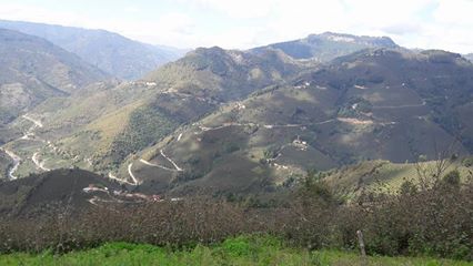 Gölköy Direkli Köyü Resimleri 4