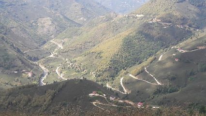 Gölköy Direkli Köyü Resimleri 6