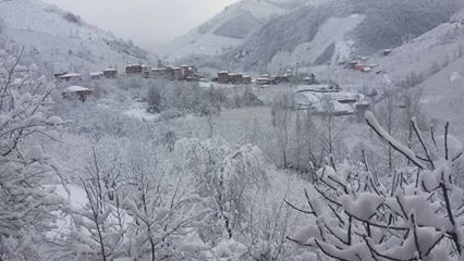 Gölköy Direkli Köyü Resimleri 7