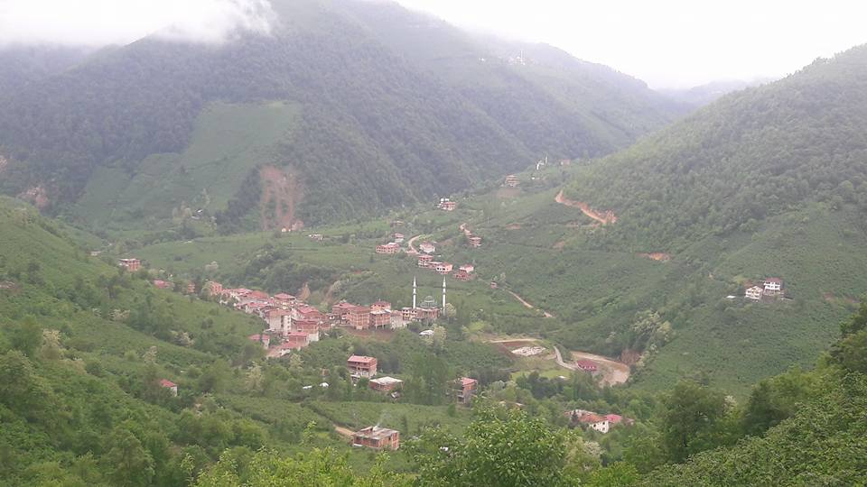 Gölköy Direkli Köyü Resimleri 9