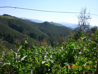 Gölköy Emirler Köyü Resimleri 1