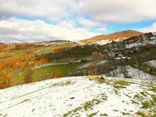 Gölköy Güzelyayla Köyü Resimleri 1