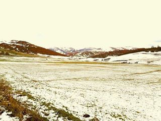 Gölköy Güzelyayla Köyü Resimleri 2