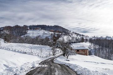Gölköy Güzelyayla Köyü Resimleri 4