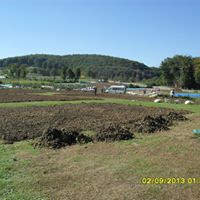 Gölköy Güzelyurt Köyü Resimleri 1