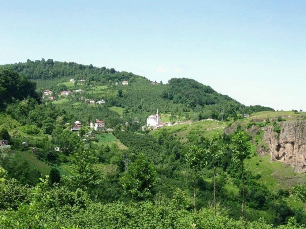 Gölköy Kale Köyü Resimleri 2