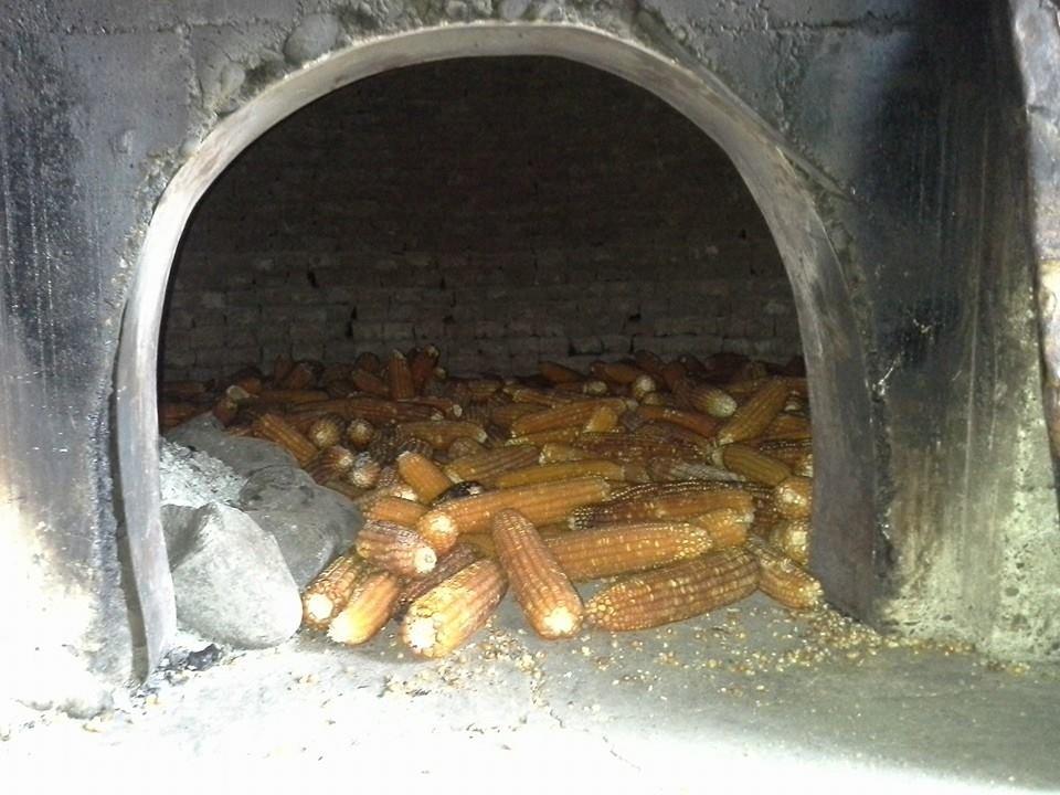 Terme Eğercili Köyü Resimleri 3