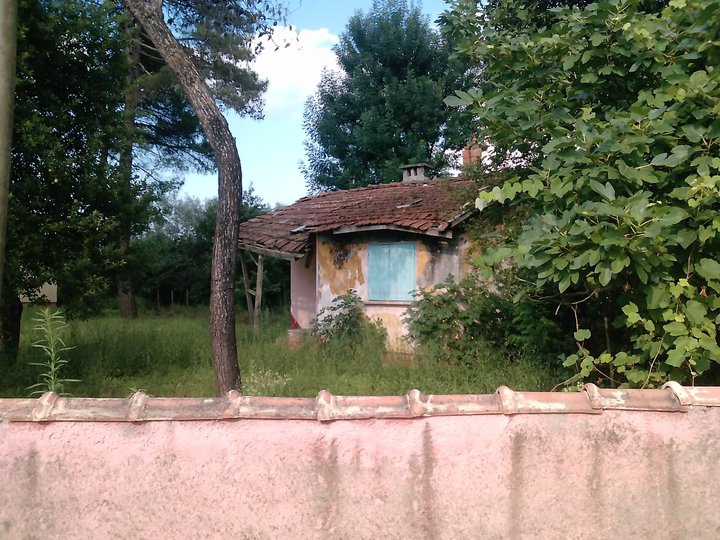 Terme Elmaköy Köyü Resimleri 1