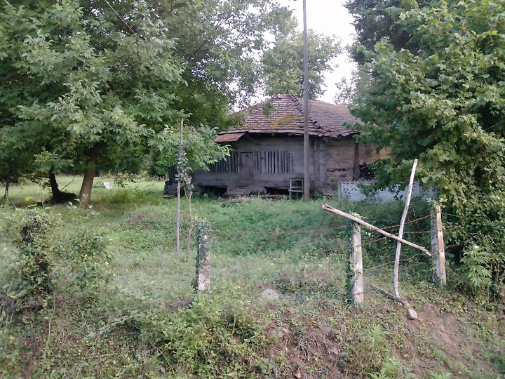 Terme Elmaköy Köyü Resimleri 11