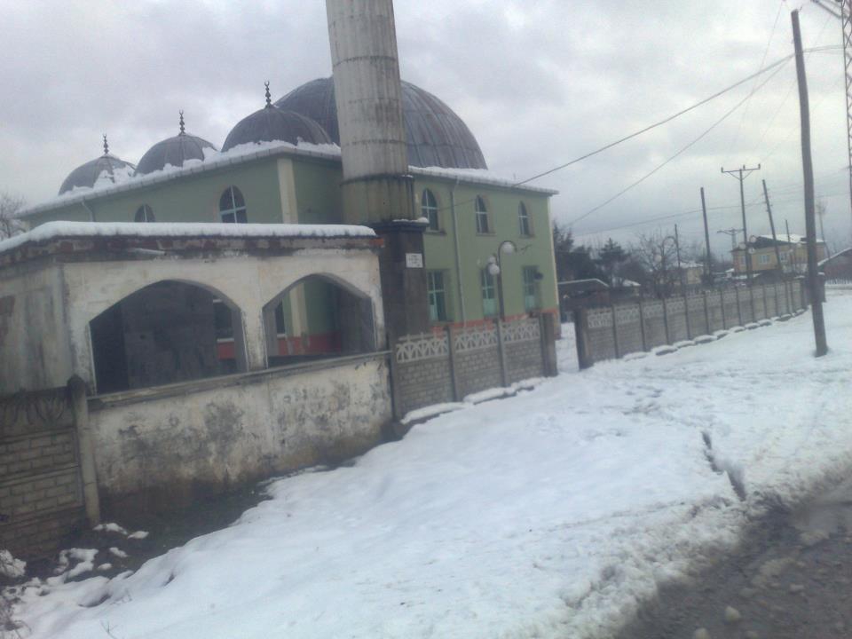 Terme Elmaköy Köyü Resimleri 2