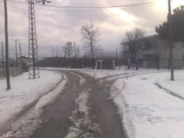 Terme Elmaköy Köyü Resimleri 7