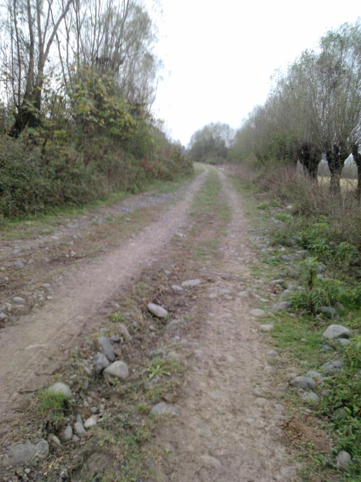 Terme Elmaköy Köyü Resimleri 8