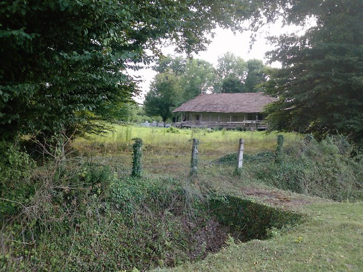 Terme Elmaköy Köyü Resimleri 9