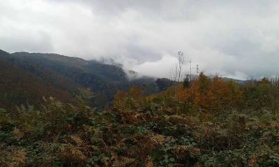 Gölköy Kozören Köyü Resimleri 2