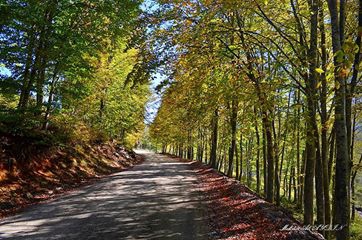 Gölköy Kozören Köyü Resimleri 3