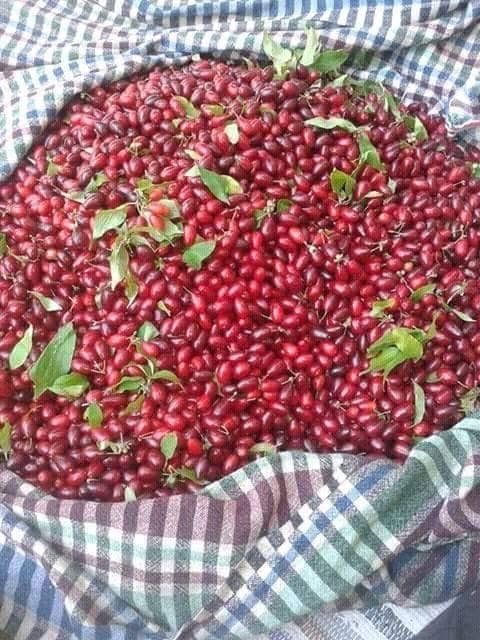 Niksar Kümbetli Köyü Resimleri 2