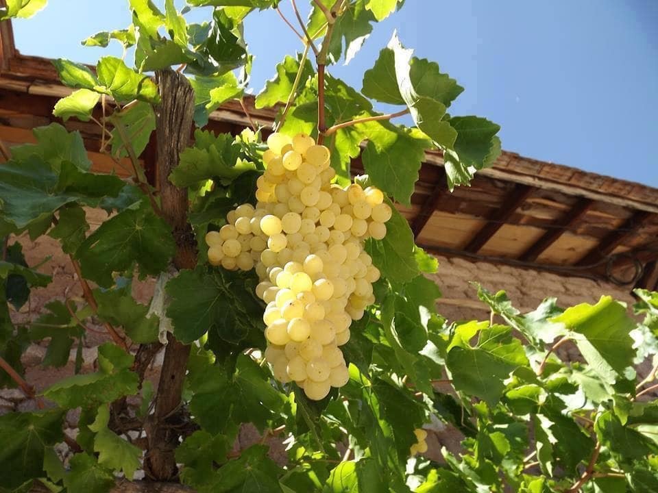 Niksar Kümbetli Köyü Resimleri 4