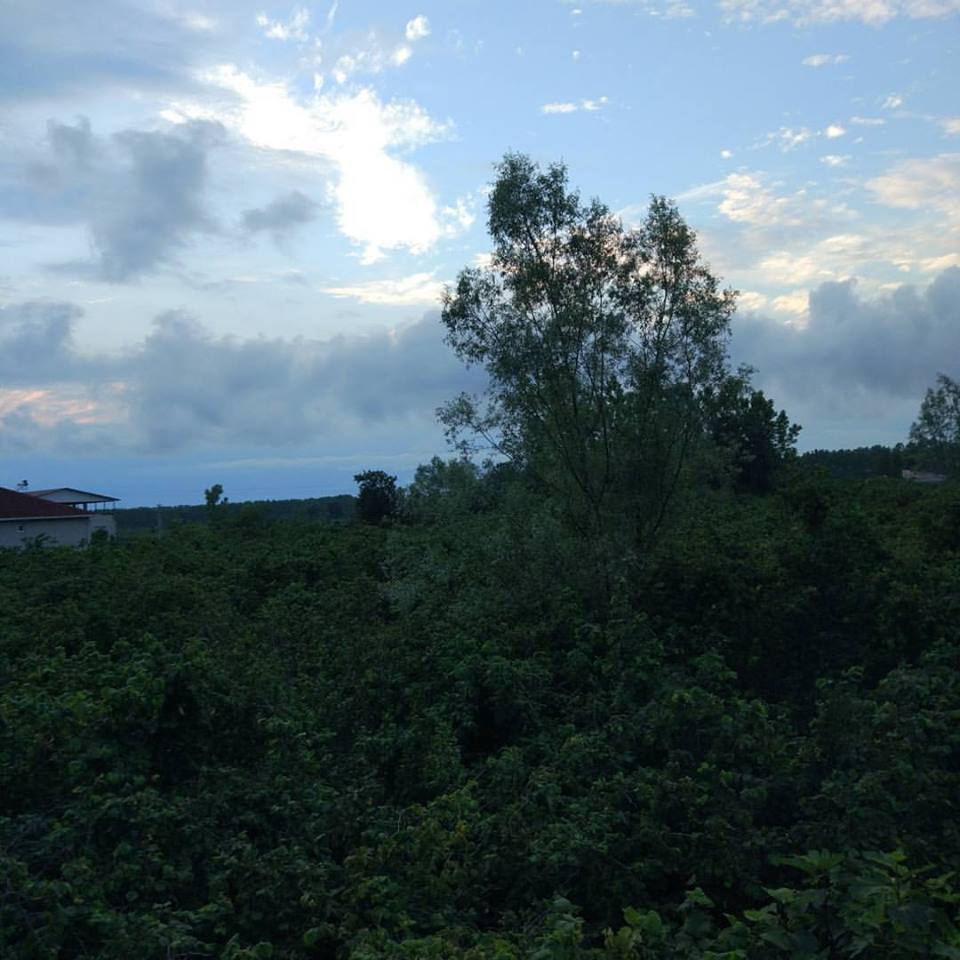 Terme Emiryusuf Köyü Resimleri 5