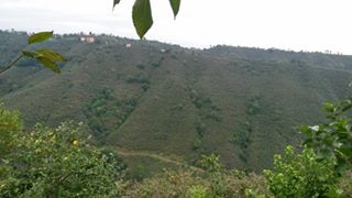 Terme Erenköy Köyü Resimleri 2