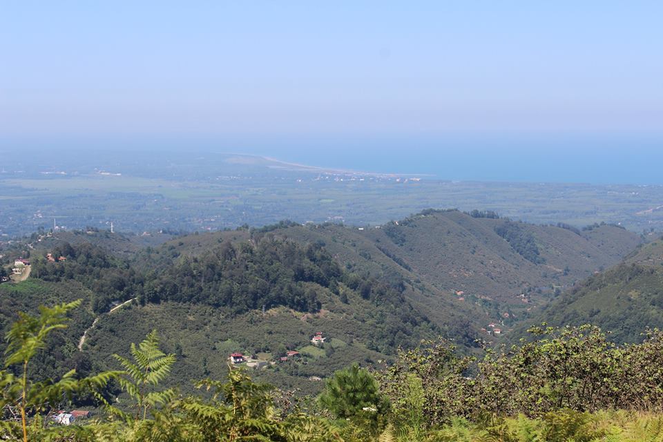 Terme Erenköy Köyü Resimleri 4