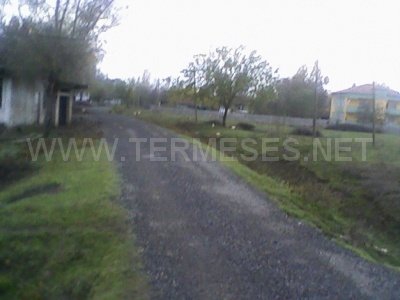 Terme Etyemezli Köyü Resimleri 5