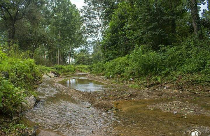 Terme Evci Köyü Resimleri 1