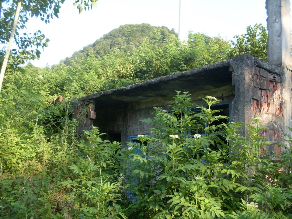 Terme Evci Köyü Resimleri 11