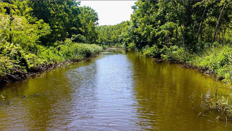 Terme Evci Köyü Resimleri 2