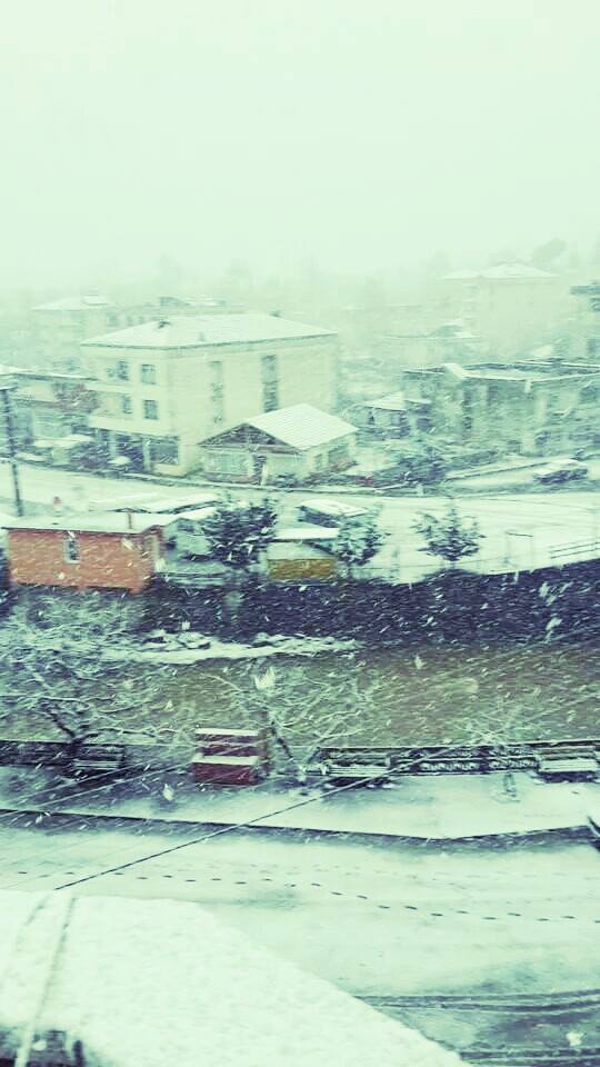 Terme Evci Köyü Resimleri 4