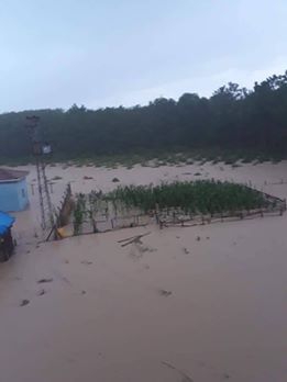 Terme Geçmiş Köyü Resimleri 6