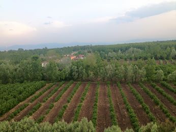 Terme Geçmiş Köyü Resimleri 7