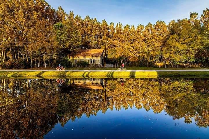 Terme Gölyazı Köyü Resimleri 10