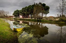 Terme Gölyazı Köyü Resimleri 2