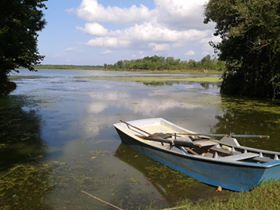 Terme Gölyazı Köyü Resimleri 4