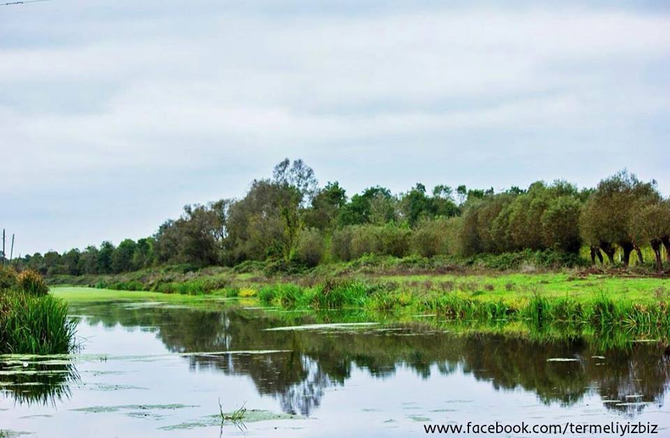 Terme Gölyazı Köyü Resimleri 6