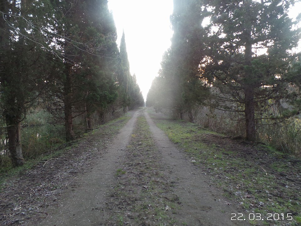 Terme Gölyazı Köyü Resimleri 8