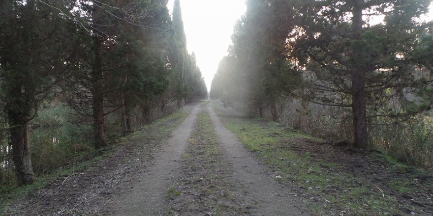 Terme Gölyazı Köyü Resimleri