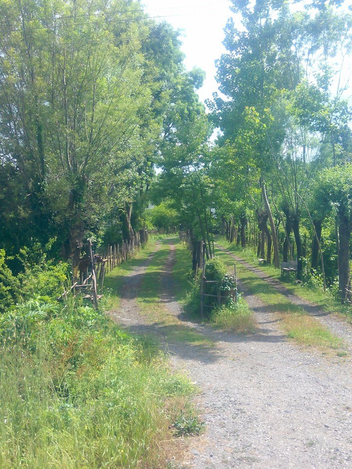 Terme Gündoğdu Köyü Resimleri 1