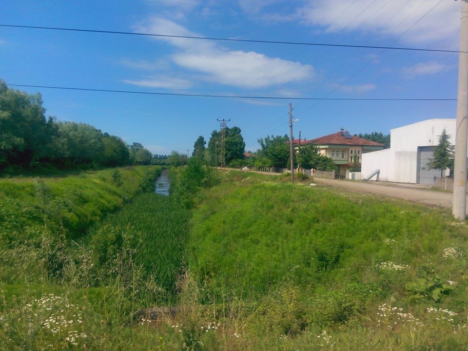 Terme Gündoğdu Köyü Resimleri 9