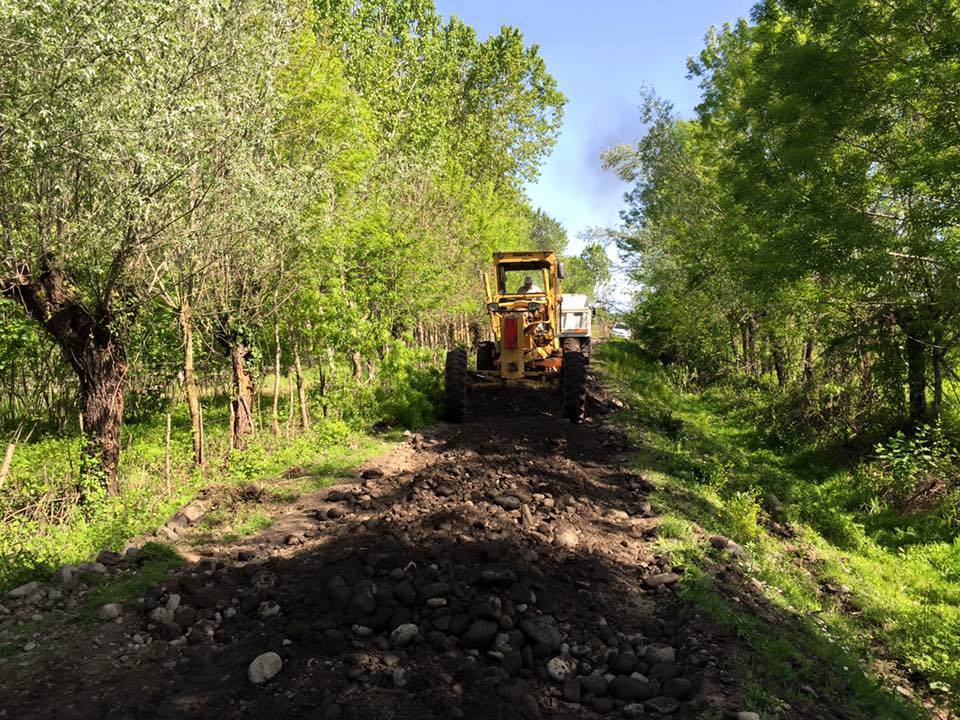 Terme İmanalisi Köyü Resimleri 10