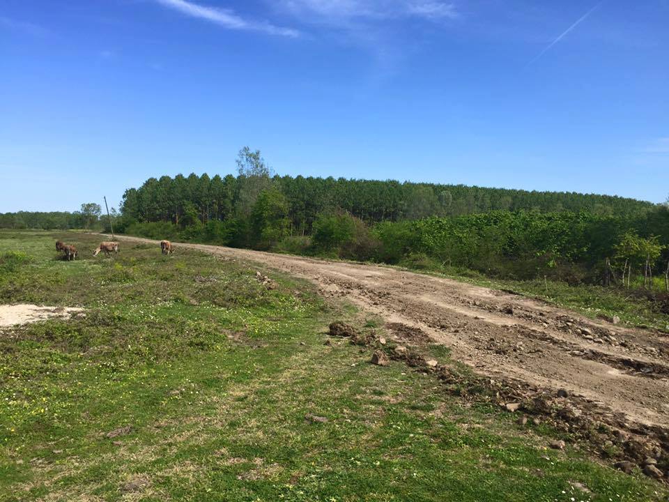 Terme İmanalisi Köyü Resimleri 9