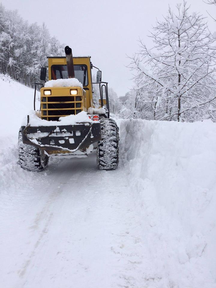 Terme Karacalı Köyü Resimleri 7