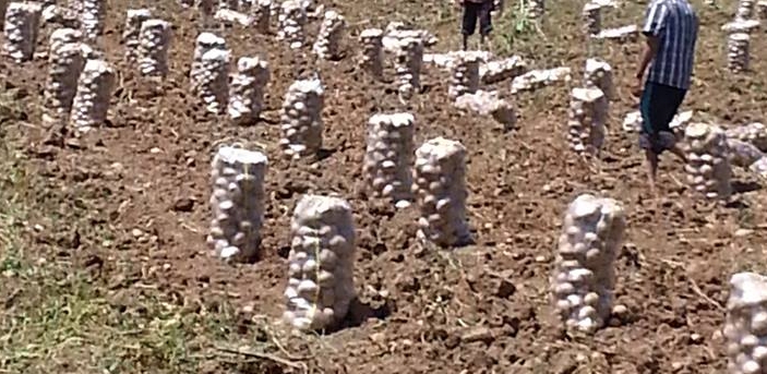 Niksar Mahmudiye Köyü Resimleri 5